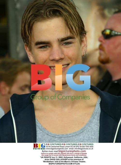 David Gallagher at 'Windtalkers' Premiere