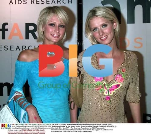 Nicky and Paris Hilton attend amfAR gala