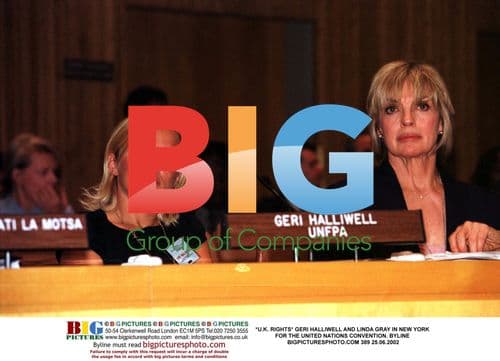 Geri Halliwell and Linda Gray at UN Convention