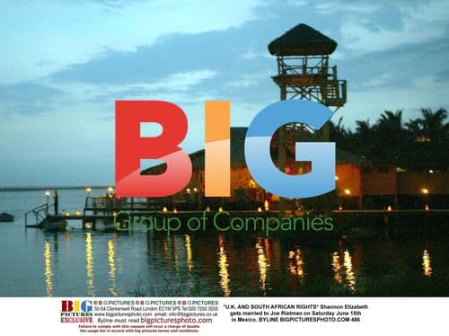 Shannon Elizabeth Gets Married in Mexico