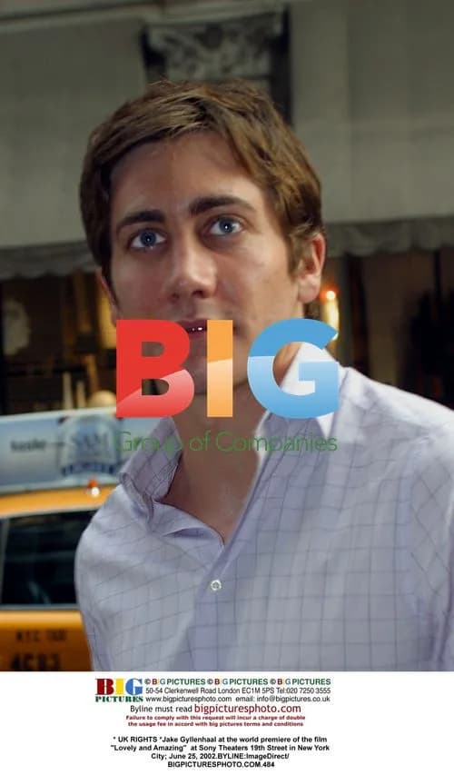 Jake Gyllenhaal at "Lovely and Amazing" Premiere