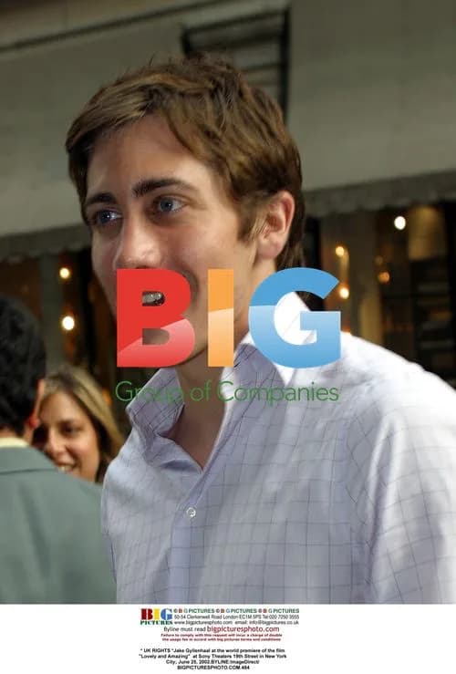 Jake Gyllenhaal at "Lovely and Amazing" premiere