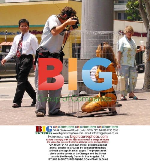 Model protests animal cruelty in circuses