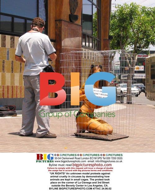 Model Protests Animal Cruelty in Circus