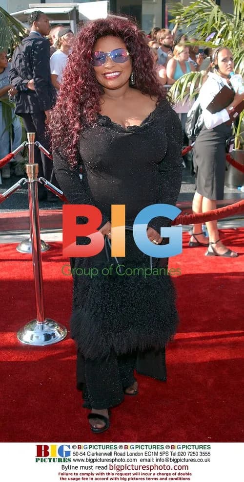 Chaka Khan at 2nd Annual BET Awards