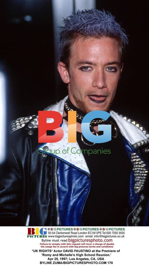 DAVID FAUSTINO at 'Romy and Michelle' Premiere