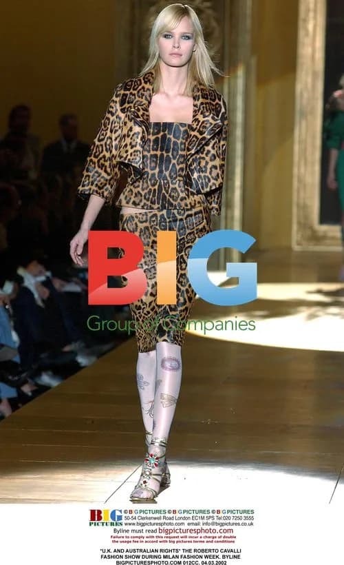 Roberto Cavalli Fashion Show, Milan 2002