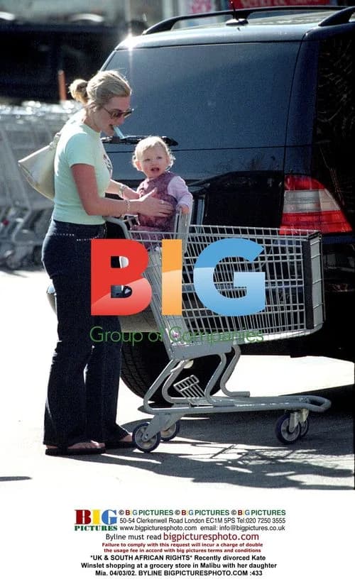 Kate Winslet grocery shopping in Malibu
