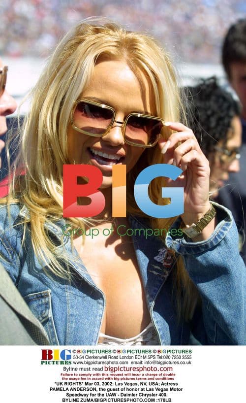 Pamela Anderson at NASCAR Race