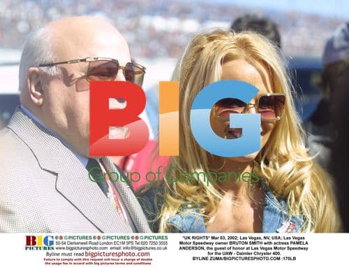 Pamela Anderson at UAW - Daimler Chrysler 400