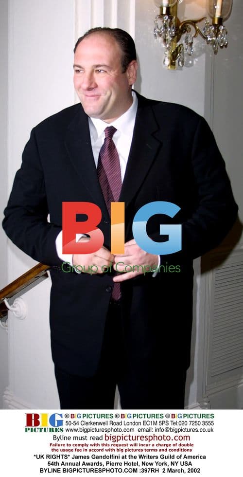 James Gandolfini at Writers Guild Awards