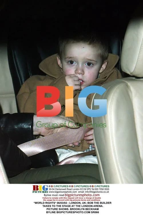 BOB THE BUILDER Performs at London Arena