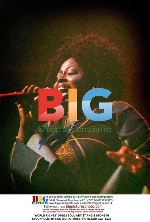 Angie Stone in Stockholm