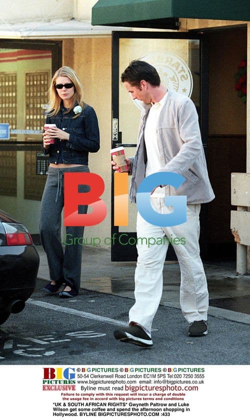 Gwyneth Paltrow and Luke Wilson shopping in Hollywood