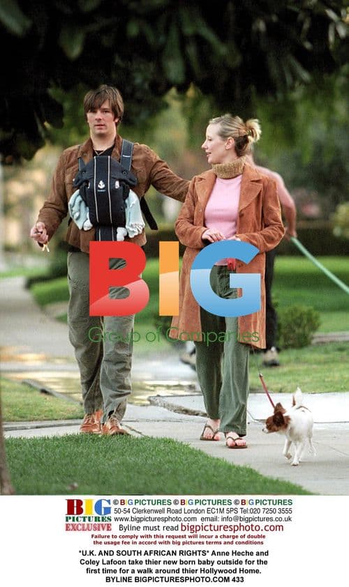 Anne Heche and Coley Lafoon's newborn baby