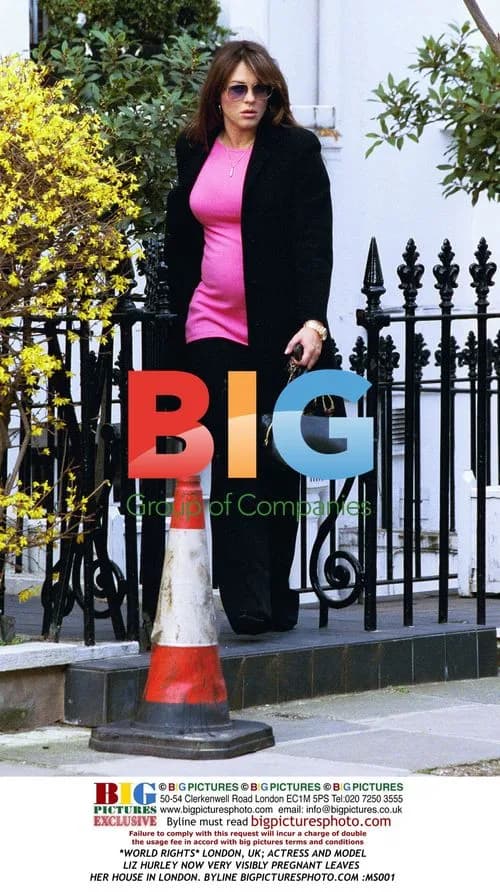 Liz Hurley Leaves Home Visibly Pregnant