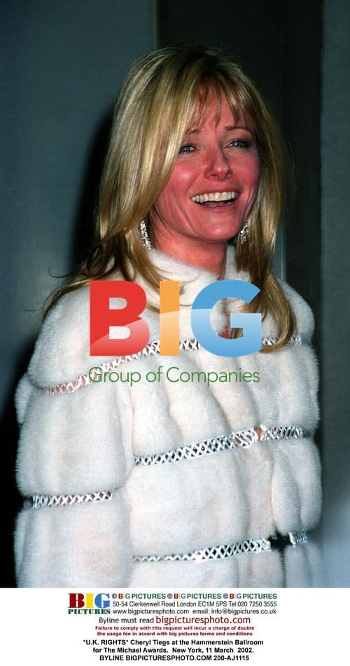 Cheryl Tiegs at The Michael Awards