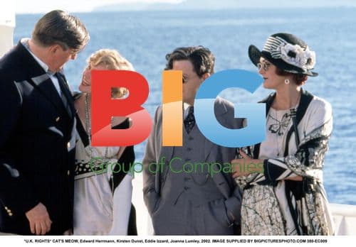 CAT'S MEOW with stars