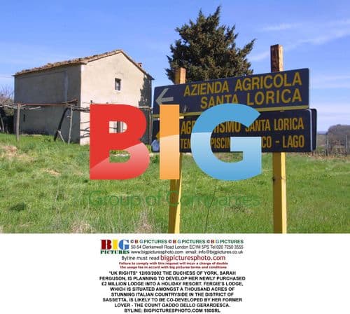 Sarah Ferguson Plans Holiday Resort