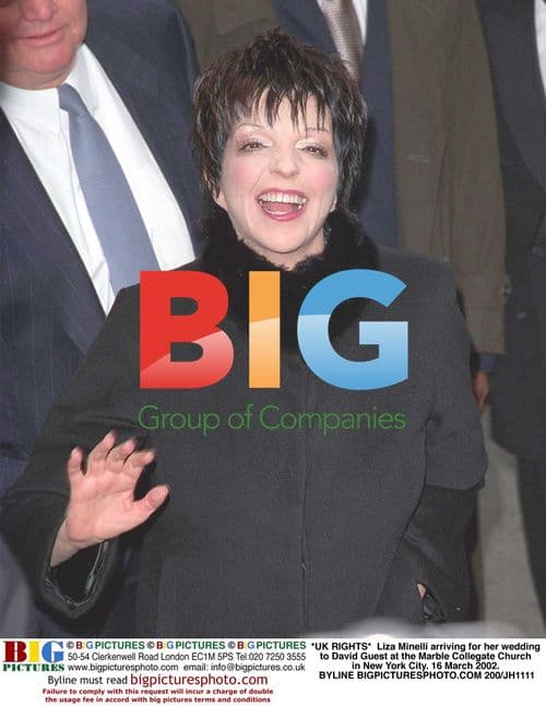 Liza Minelli arrives for wedding to David Guest