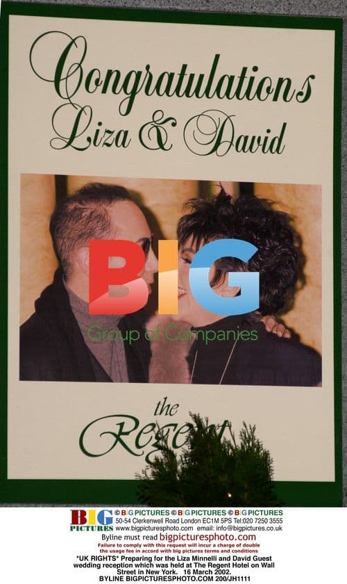 Liza Minelli and David Guest's Wedding Reception