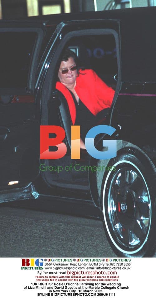 Rosie O'Donnell at Liza Minelli's wedding