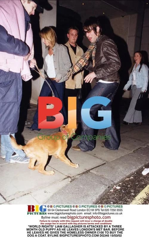 Liam Gallagher attacked by puppy