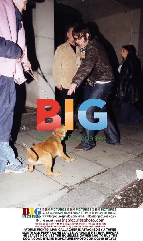 Liam Gallagher attacked by puppy