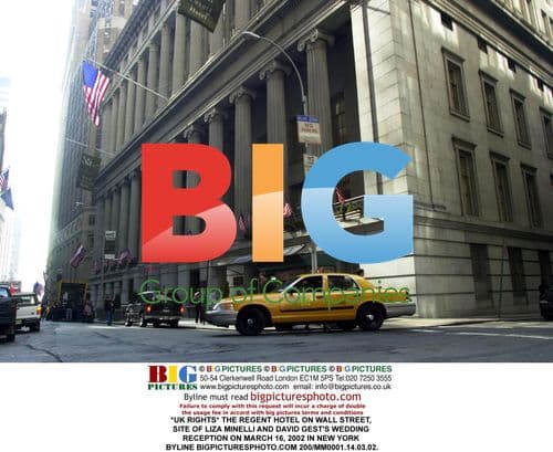 Liza Minnelli and David Gest's Wedding Reception