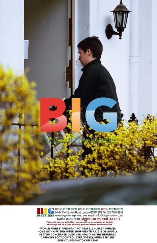 Pregnant Liz Hurley Arrives Home with Friend