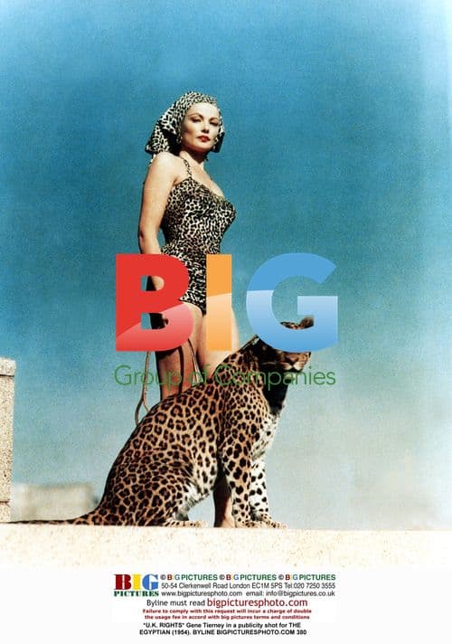 Gene Tierney in publicity shot for THE EGYPTIAN