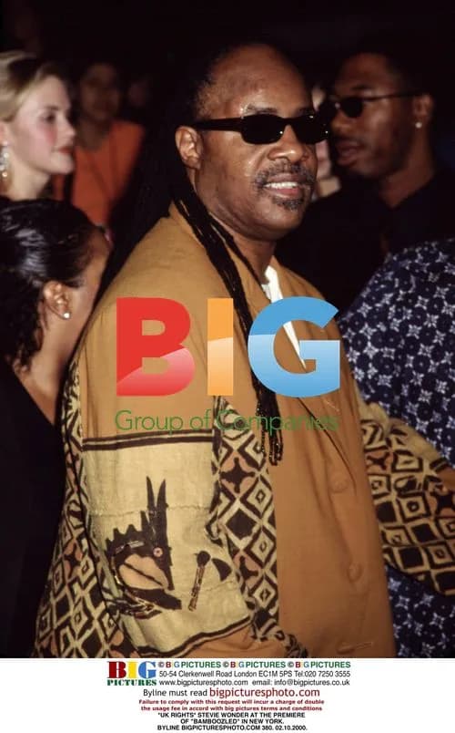 Stevie Wonder at 'Bamboozled' Premiere in NYC