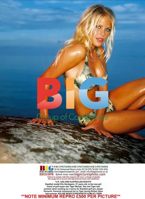 Elin Nordegren as Tiger Woods' girlfriend