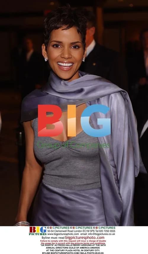 Halle Berry at DGA Awards