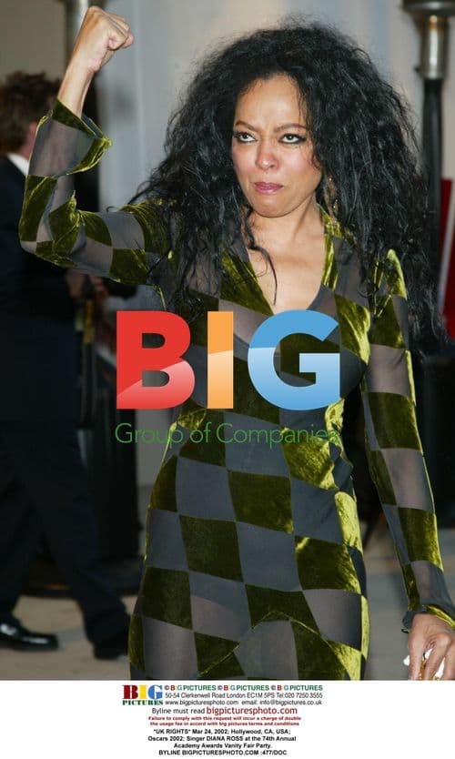 Diana Ross at 2002 Oscars Vanity Fair Party