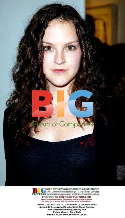 Exhibition of Shane Edelman's Artwork