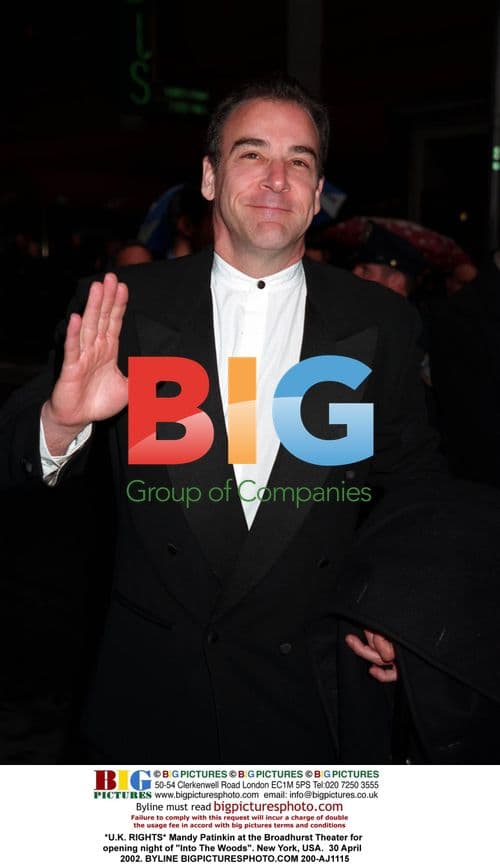 Mandy Patinkin at 'Into The Woods' Opening