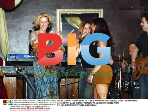 Faye Tozer Guest Performs with 'Silver Tongue'