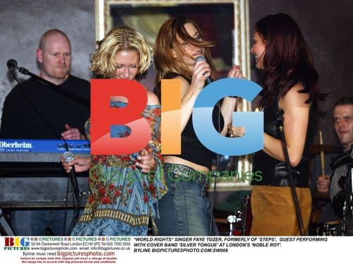 SINGER FAYE TOZER GUEST PERFORMS WITH 'SILVER TONGUE'