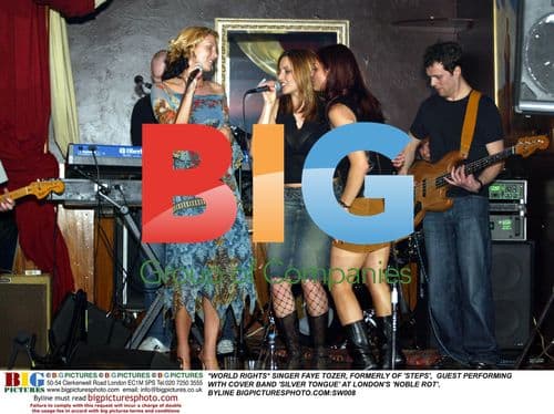 Singer Faye Tozer Performs with 'Silver Tongue' Band