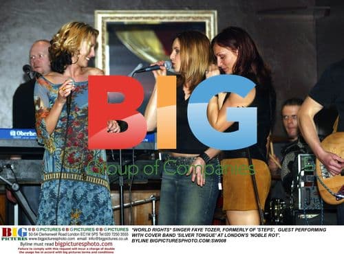 Faye Tozer Guest Performs with Cover Band