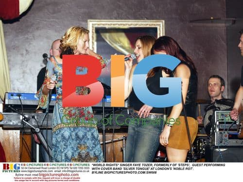 Faye Tozer Guest Performs with Cover Band