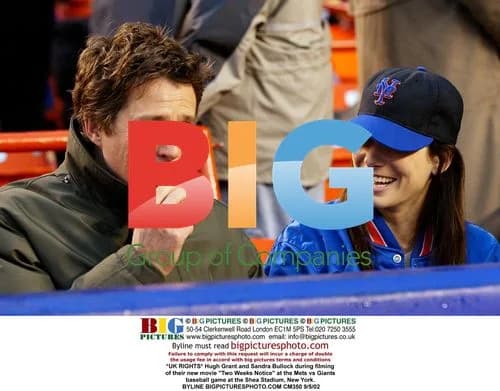 Hugh Grant and Sandra Bullock at Mets vs Giants game