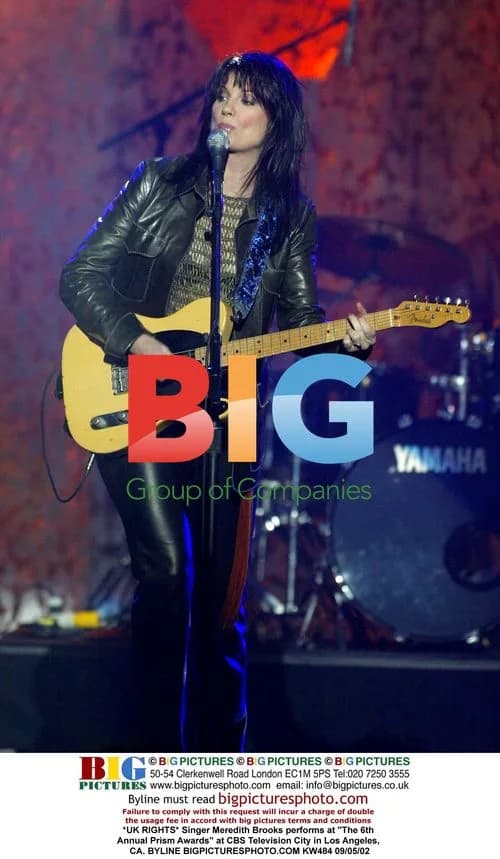 Singer Meredith Brooks at Prism Awards