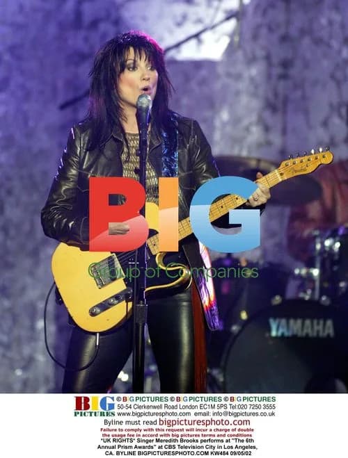 Meredith Brooks performs at Prism Awards