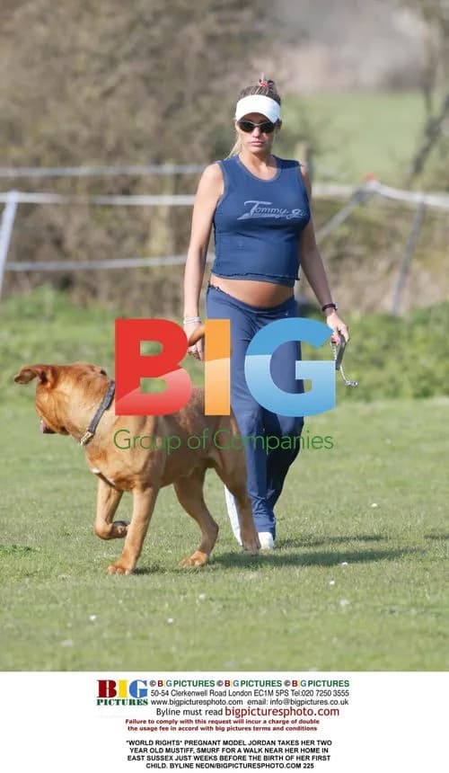 Pregnant Model Jordan Walks Dog Near Home