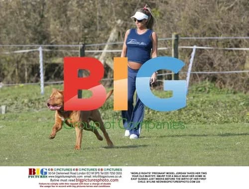 Pregnant model Jordan takes dog for walk