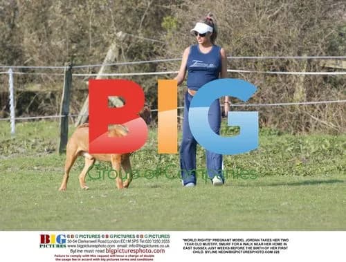 Pregnant Model Jordan Takes Dog Smurf for Walk