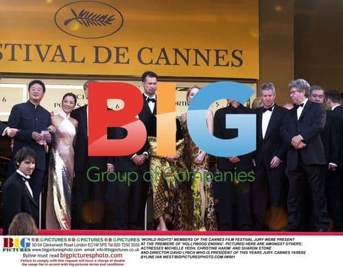 Cannes Film Festival Jury Members
