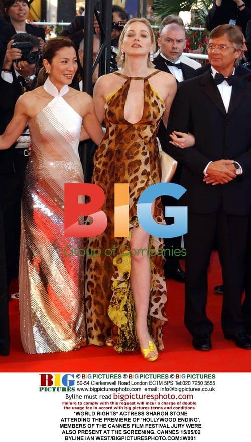 Sharon Stone at 'Hollywood Ending' Premiere